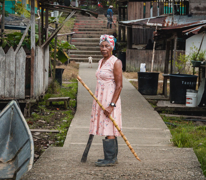 Sembradora de tradición